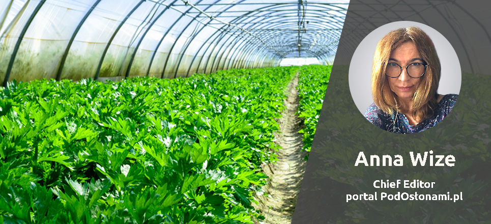 Interview with Anna Wize about the program of the conference Interview with Anna Wize about the program of the conference